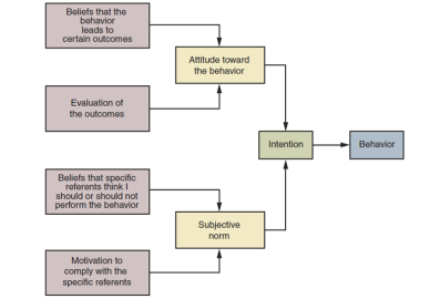 Beliets that the behavior leads to certain outcomes Attitude toward the behavior Evaluation of the outcomes Intention Behavio