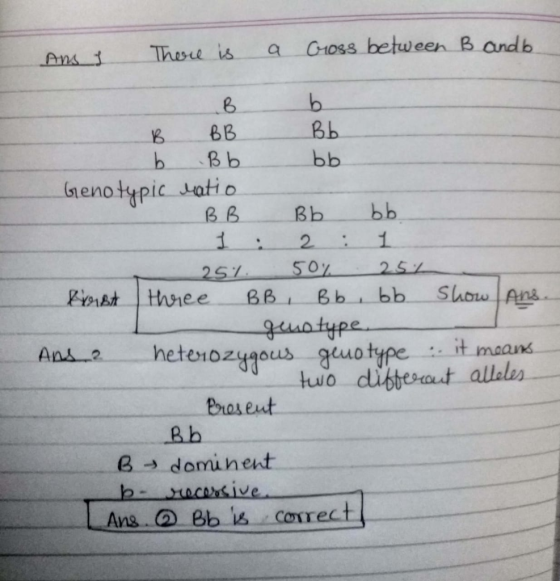 Ans I There is a Gross between B andb - B b B BB Bb b Bb bb Genotypic ratio BB Bь Бь 1 : 2 : 1 25% 50% 25% Krst three BB, Bb,