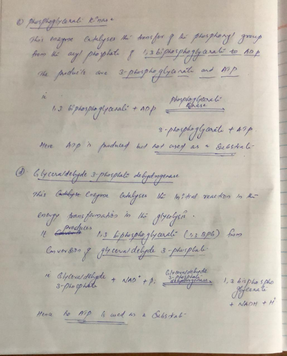 Phosphoglycerali knase This enzyne Catalyses the transfer of the phosphoryl group from the acyl phosphate of 1,3 biphosphogly
