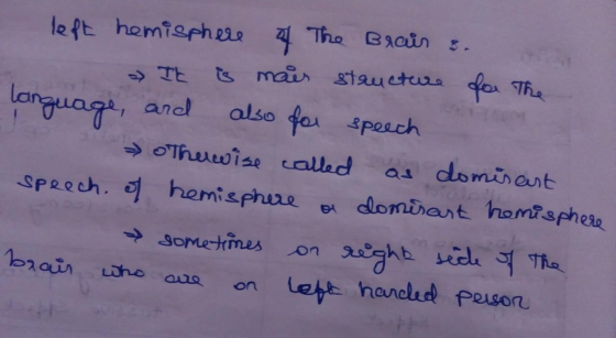 . left hemisphere of The Brain &. » It is mais structure for the language, and also for speech Thuwise called as dominant spe