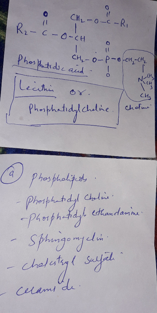 - CH₂ -oc-RI R₂ - C - O-CH Phosphatidic and CH₂-O-P-o-CH-CH₂ ! ! lecithin or. CH₃ Phosphatidylcholine a phospholipids . - Pho