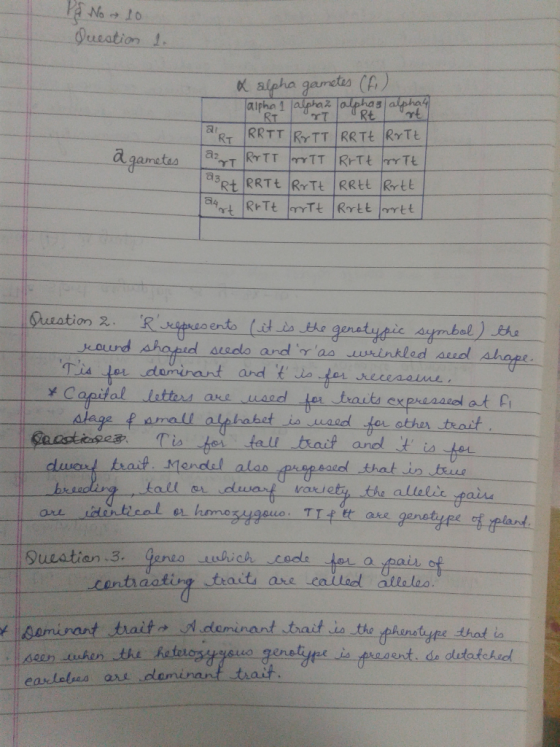 ueation a gametes C) alpha 1 laipha 2 bol ) er traits expraaao at Ci lage mall alphabet io wasd for other teoit dluwoud trait