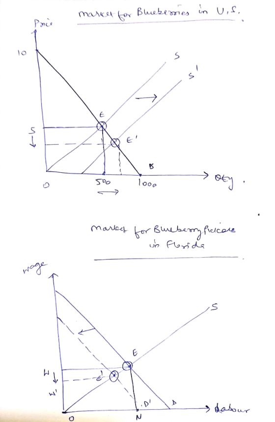 make heberres in uis. Porce и и U20 ng TE h oty, Toon marcy for Blueberry prices in Florida wage WF-ne Yo dabour