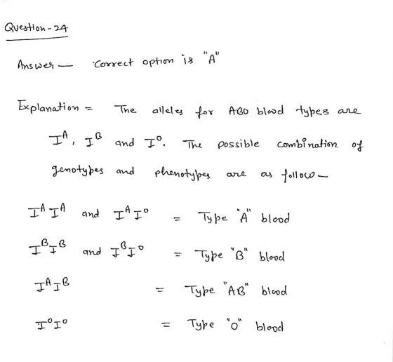 Question - 24 Answer correct option is A Explanation The alleles for ABO blood types are IA, IB and I. The possible to wyr