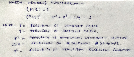 HARDY - WEINBERG EQUILIBRIUM (P+q) = 1 (P+q)² = p²+ q² + 289 = 1 HERE = P - FREQUENCY of DOMINANT ALLELE q= FREQUENCY OF RECE