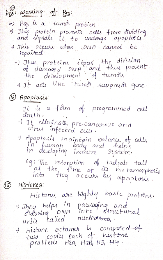 pent working of Bigg m) P53 is a tumor protien -) This protein prevents cells from dividing and signale it to undergo apoptos