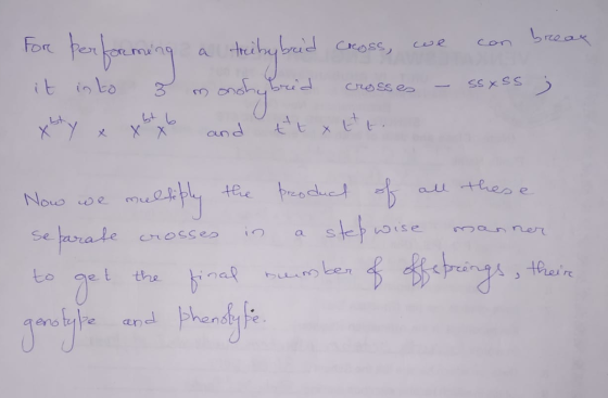 for performing a treehybrid cross, we can it into 3 monohybrid crosses - ssxss ; xsty x xbxb and tttttt Now we multiply the p
