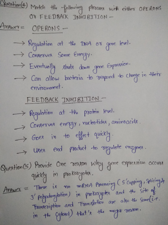 Question (4) Match the following phrones with either OPERONS 07 FEEDBACK INHIBITION - Answer= OPERONS - Regulation at the DNA