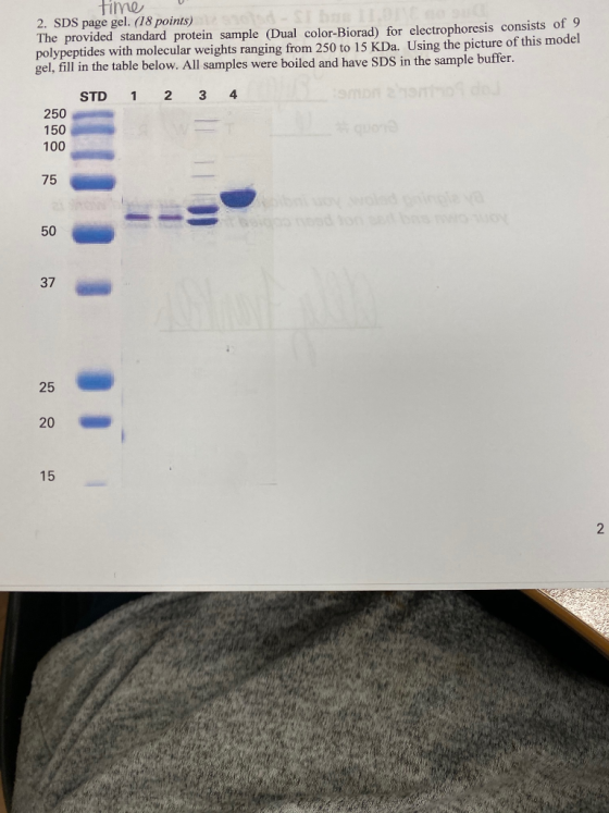 time 2. SDS page gel. (18 points) The provided standard protein sample (Dual color-Biorad) for electrophoresis consists of 9