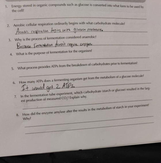 1. Energy stored in organic compounds such as glucose is converted into what form to be used what form to be used by the cell