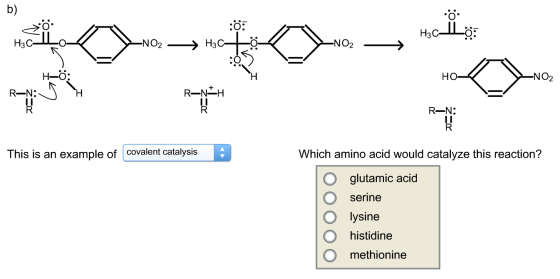 Identify the kind of chemical catalysis and then i
