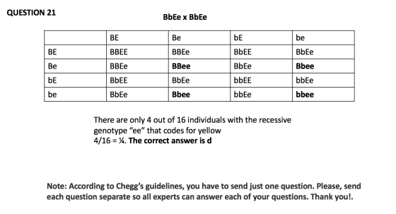 QUESTION 21 BbEe x BbEe BE Be be be BE BBEE BBE BbEE BbEe Ве BBee Bbee BBE BbEE bE BbEe BbEe bbEE bbEe bbEe be BbEe Bbee bbee