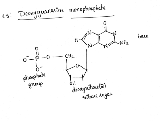 es DeoHguanokne menephogphake baAa 2 0 phosphate t0up OH