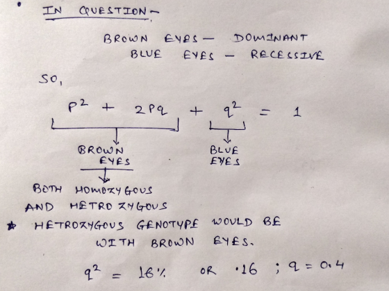 IN QUESTION BROWN EYES - DOMINANT BLUE EYES - RECESSIVE so, p2 & 2pq & q² = 1 L BROWN EYES BLUE EYES BOTH HOMOZYGOUS AND METR