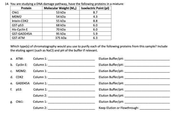 14. You are studying a DNA damage pathway, have the following proteins in a mixture: Protein Molecular Weight (Mw) Isoelectri