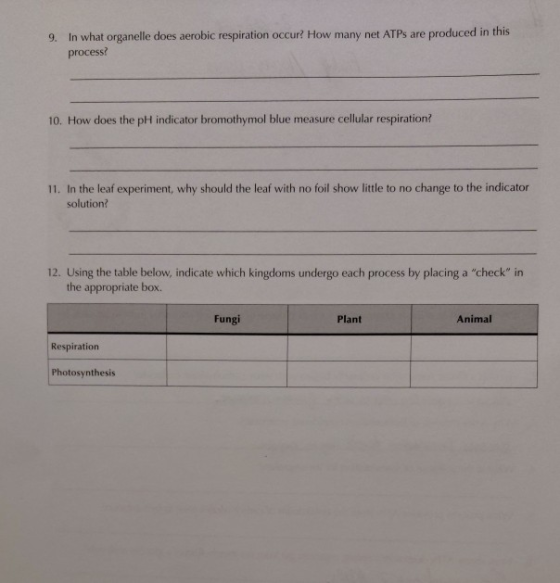 9. In what organelle does aerobic respiration occur? How many net ATPs are produced in this process? 10. How does the pH indi