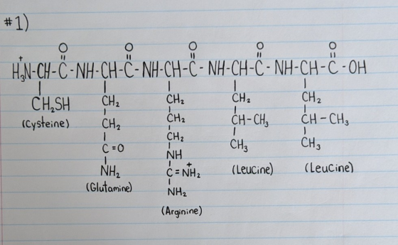 # 1) his gonu ca < m ça & sau ca & marça &.com CH,SH CH₂ CH₂ (Cysteine) CH₂ CH2 CH-CH2 CH-CH₂ CH3 C=0 CH₃ NH2 (Leucine) (Leuc