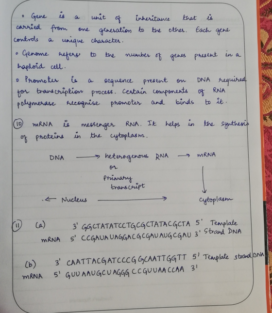 o Gene is a unit of inheritance that is carried from one generation to the other. Each gene controls a unique character. • Ge