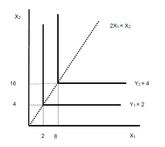 2X1 = X2 Y2= 4 II Y1 = 2 2 8