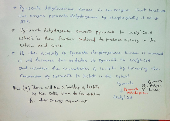* Pyruvate dehydrogenase kinase is an enzyme that inactivate the enzyme pyruvate dehydrogenase by phosphorylating it using AT