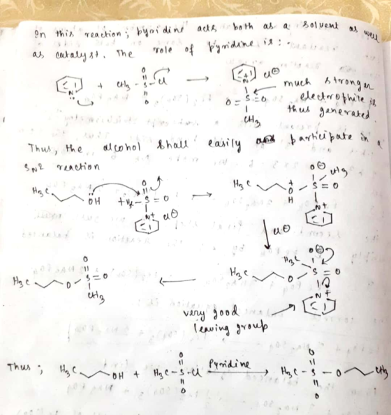 went solvent on in this reaction byridine acts both as a as catalyst. The role of pyridine is as well 2 - much stronger 0 -