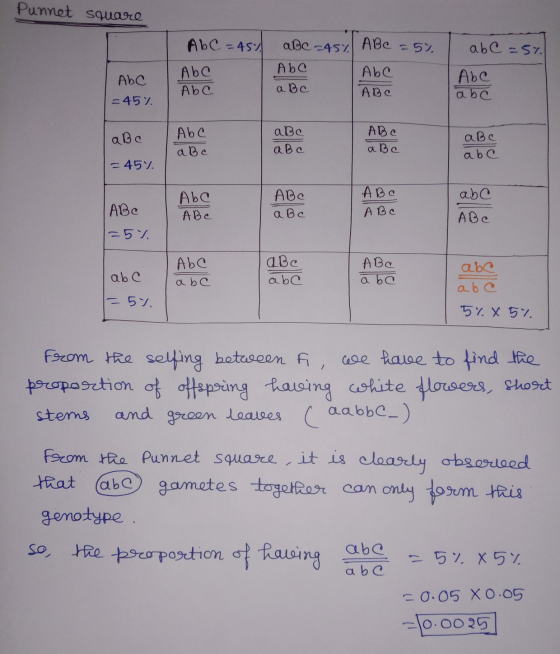 Punnet square Ab C =45% a BC -45% ABC - 5% abc=57. Abc Abo Abc Abo a Bc Abc ABC Abc abc = 45%. abc Abc a b c abc a b c ABC a