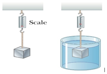 Scale