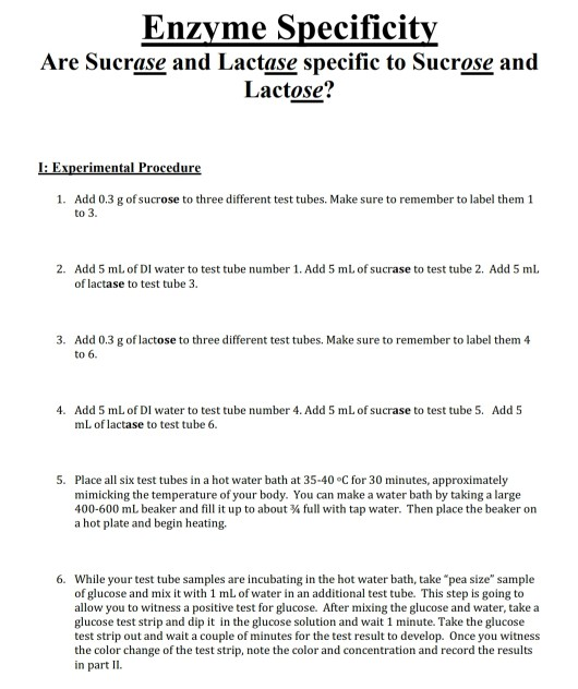 Enzyme Specificity Are Sucrase and Lactase specific to Sucrose and Lactose? I: Experimental Procedure 1. Add 0.3 g of sucrose