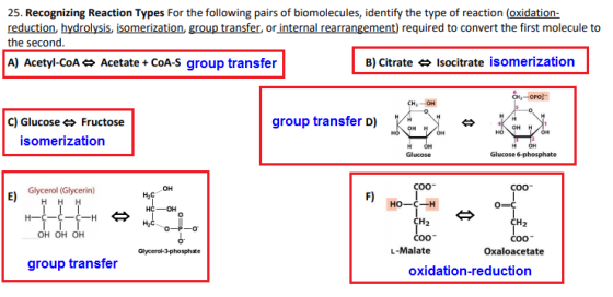 25. Recognizing Reaction Types For the following pairs of biomolecules, identify the type of reaction (oxidation- reduction h