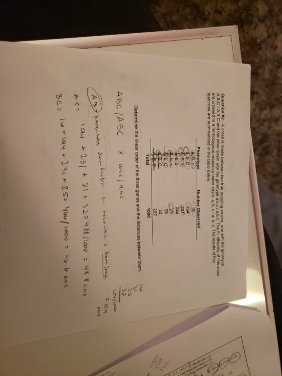 Question #2-A cross is made between two true breeding strains: one with the genotype A,B,C/A,B,C and the other strain with th