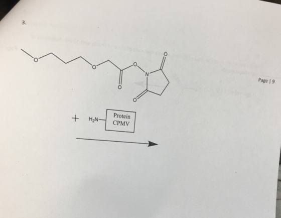 3. Page | 9 Protein H2NCPMV