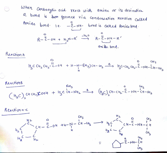 When carboxylic acid react with amine or its derivative a bond is bor formed via condensation reaction called Amide bond. ie.