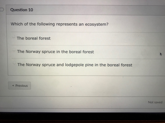 D Question 10 Which of the following represents an ecosystem? The boreal forest The Norway spruce in the boreal forest The No