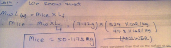 mice-maong ; (a.ng)(mrces mice-so-117s more persistent than that on the surface oon