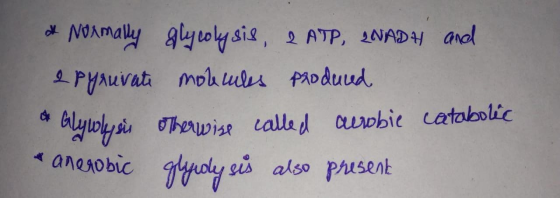 ok Normally glycolysis, 2 ATP, INADA and e pyruvate modules produced Glywlyers otherwise called acrobie catabolic *anerobic g