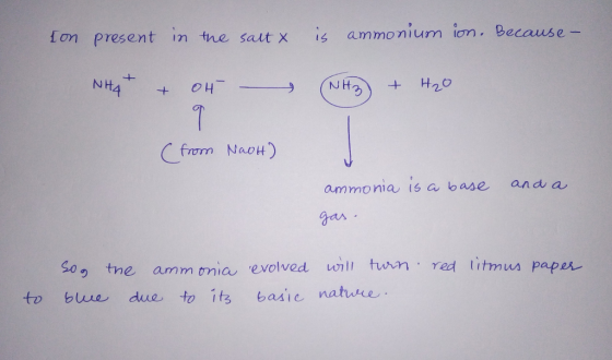 Ion present in the saltx is ammonium in. Because- NHA- & oth – NH3 + H2O (from Nach) and a ammonia is a base gas - red litmus