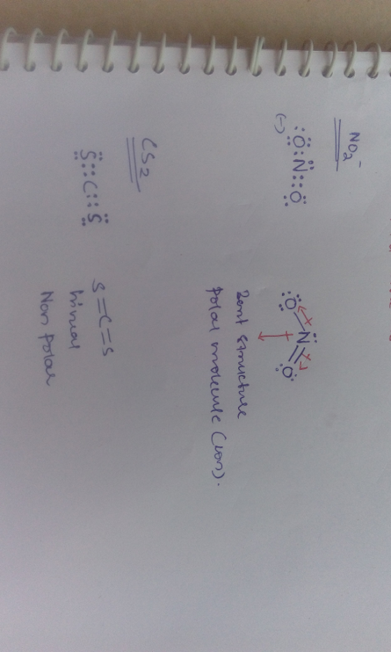 Noa ONO CS2 hinmou Non Polar,