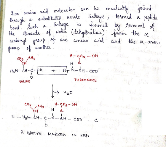 Swo amino acid molecules can be covalently joined uch a substituted amide linkage termed a peptide hand such a linkage is for