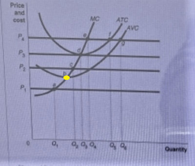 Price and cost MC ATC AVC PA Pg P2 P 9,99 99 Quantity