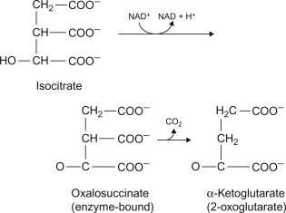 Image result for isocitrate dehydrogenase