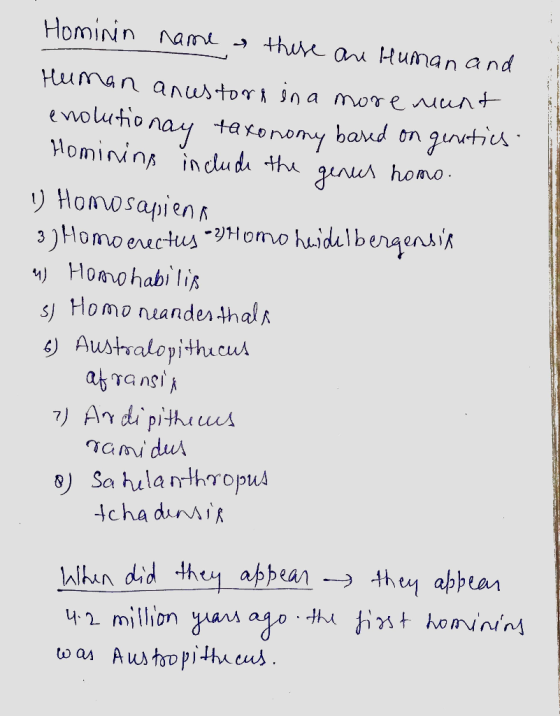 Hominin name as these are Human and Human anestors in a more nunt enolutionay taxonomy based on genetics Homining include the