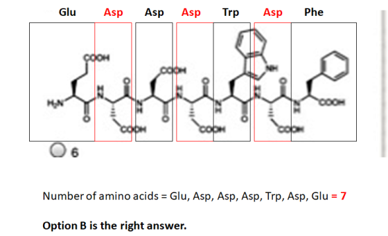 Glu Asp Asp Asp Trp Asp Phe Number of amino acids = Glu, Asp, Asp, Asp, Trp, Asp, Glu = 7 Option B is the right answer.