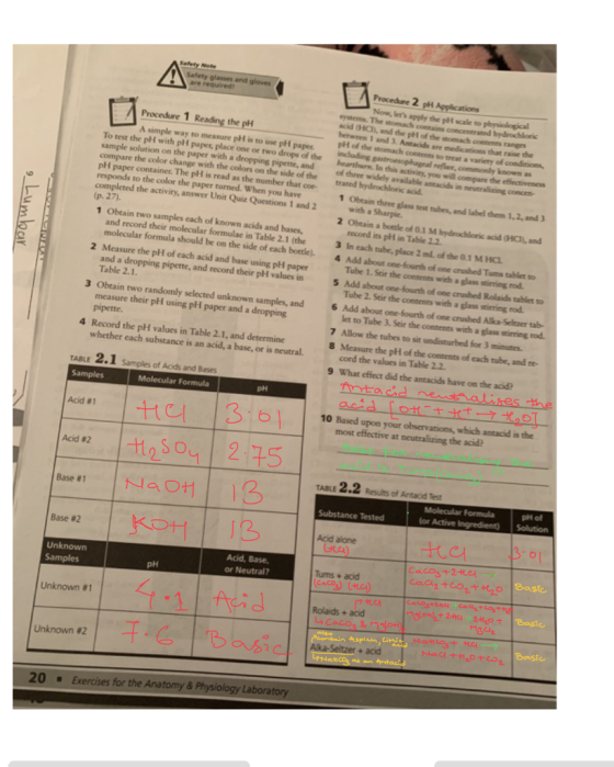 Safety Note Safety are regui and gloves Procedure 2 pH Applications Now, lers apply the pH scale to physiological systems. T