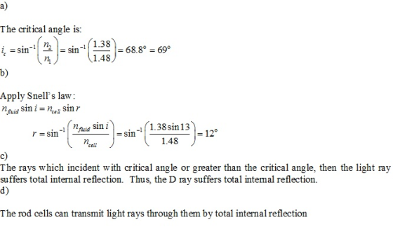 a) The critical angle is: 1.38 1.48 -1 n- 68.8°-69° b) Apply Snells law nguid sin i = nce, sin r. 1.48 cell c) The rays whic