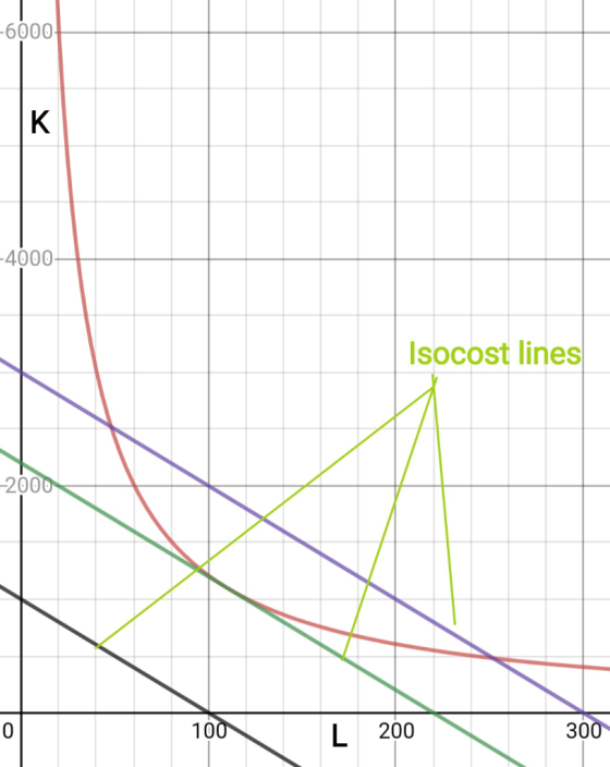-6000 -4000 Isocost lines -2000 100 200 300