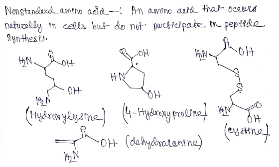 Nonstandard amino acid : An amino need that occurs naturally in cells but do not partieppate in peptide Synthesis. Hyn Thom B