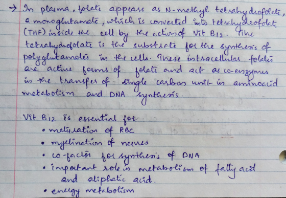 n plesma telet appass as N-methyl tetrahydeofeela moroglutamale ,olich is coovetid to tetachydeofolet (THF) nic te cell tae a