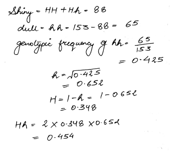 Shiny - Hr =HH & H h - 88 dull= hh-153-88= 65 genotypic frequency of hh- es = 0.425 h = No.425 = 0.652 H=1-h= 1-0652 = 0.348