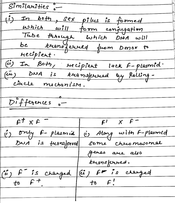 & In which DNA will Similarities both sex pilus is foomed which will foom conjugation Tube through be ansferred from Donor to