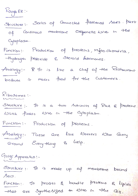 ROUQU ER :- Structure Series of connected flattened saespero of continous membrane Organelle with in the Cytoplasm. Function!